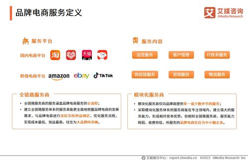 2023年中國品牌電商服務行業(yè)研究報告 信息咨詢服務的價值重塑與發(fā)展洞察